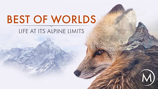 Best of Worlds: Life at its Alpine Limits