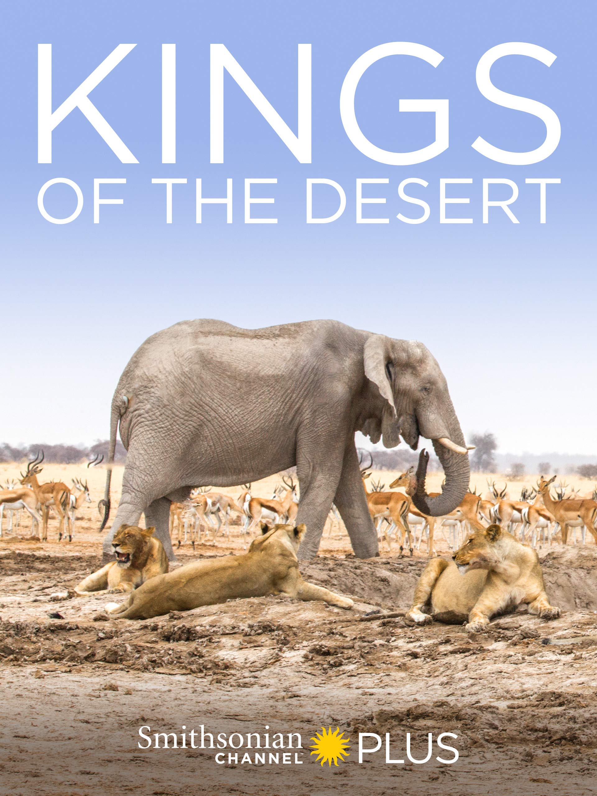 King of the Desert Lions