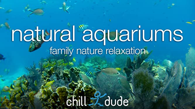 Natural Aquariums Family Nature Relaxation