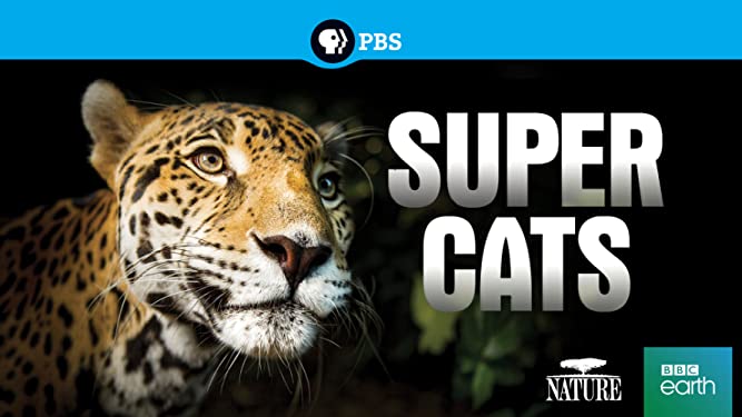 Nature: Super Cats