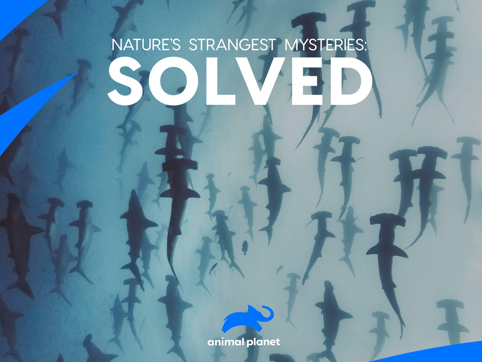 Nature's Strangest Mysteries Solved