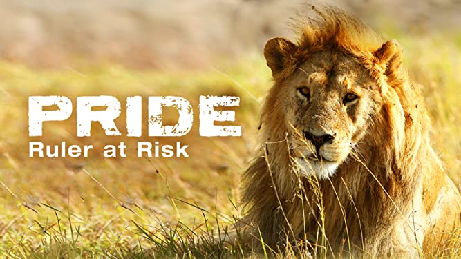 Pride - Ruler at Risk