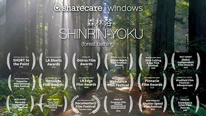 Shinrin-Yoku (forest bathing)