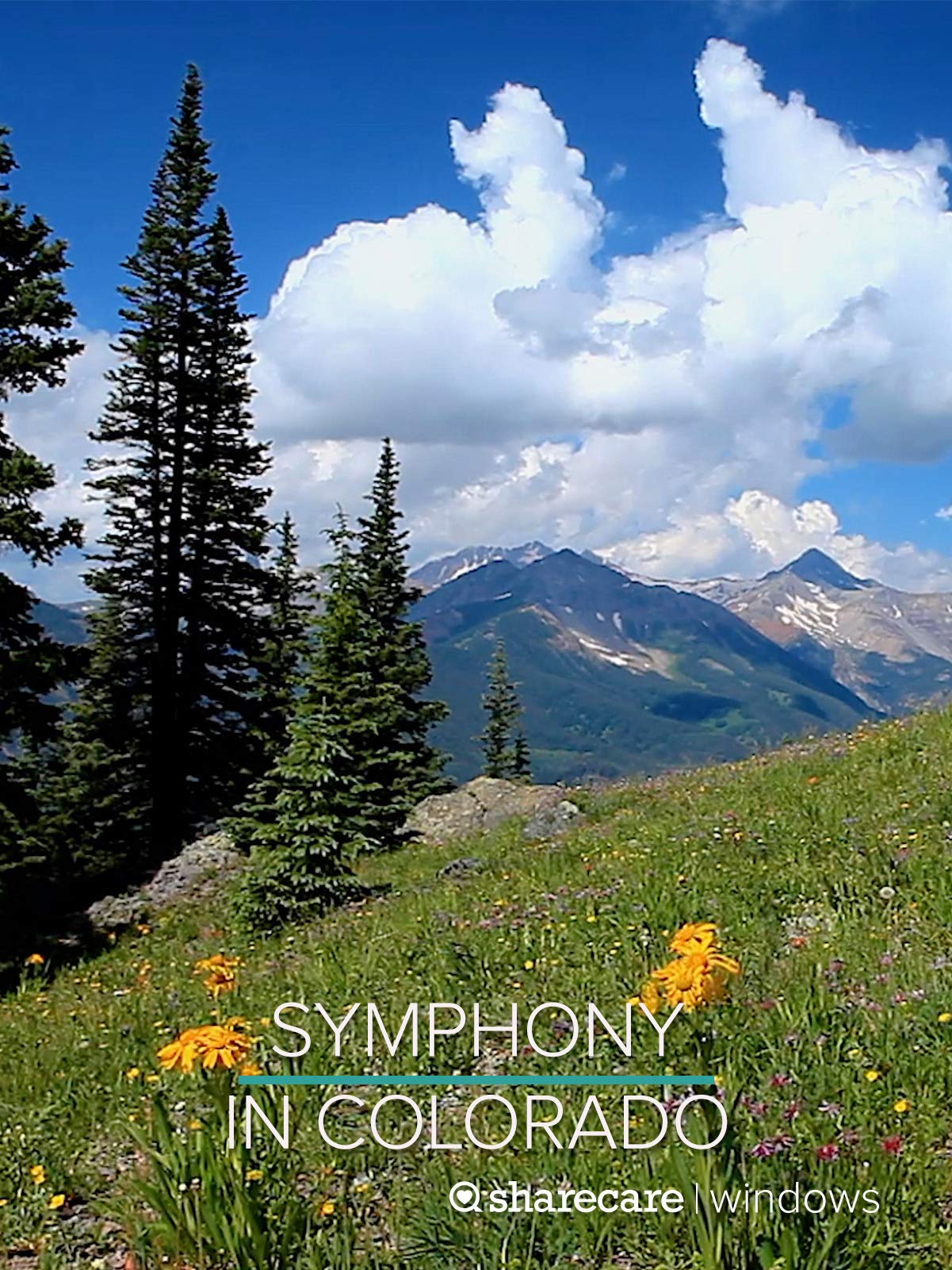 Symphony in Colorado