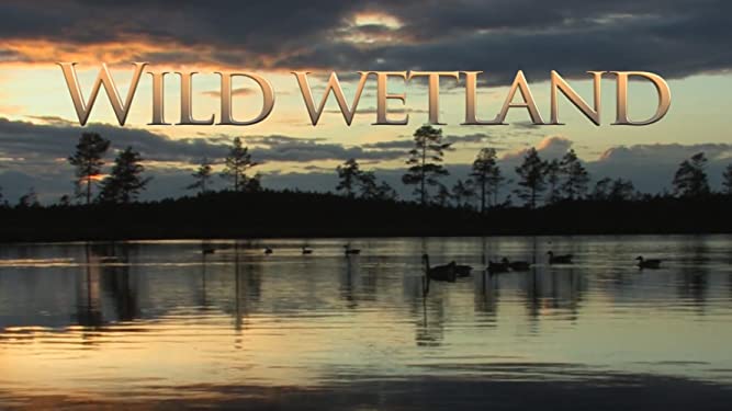 Wild Wetlands