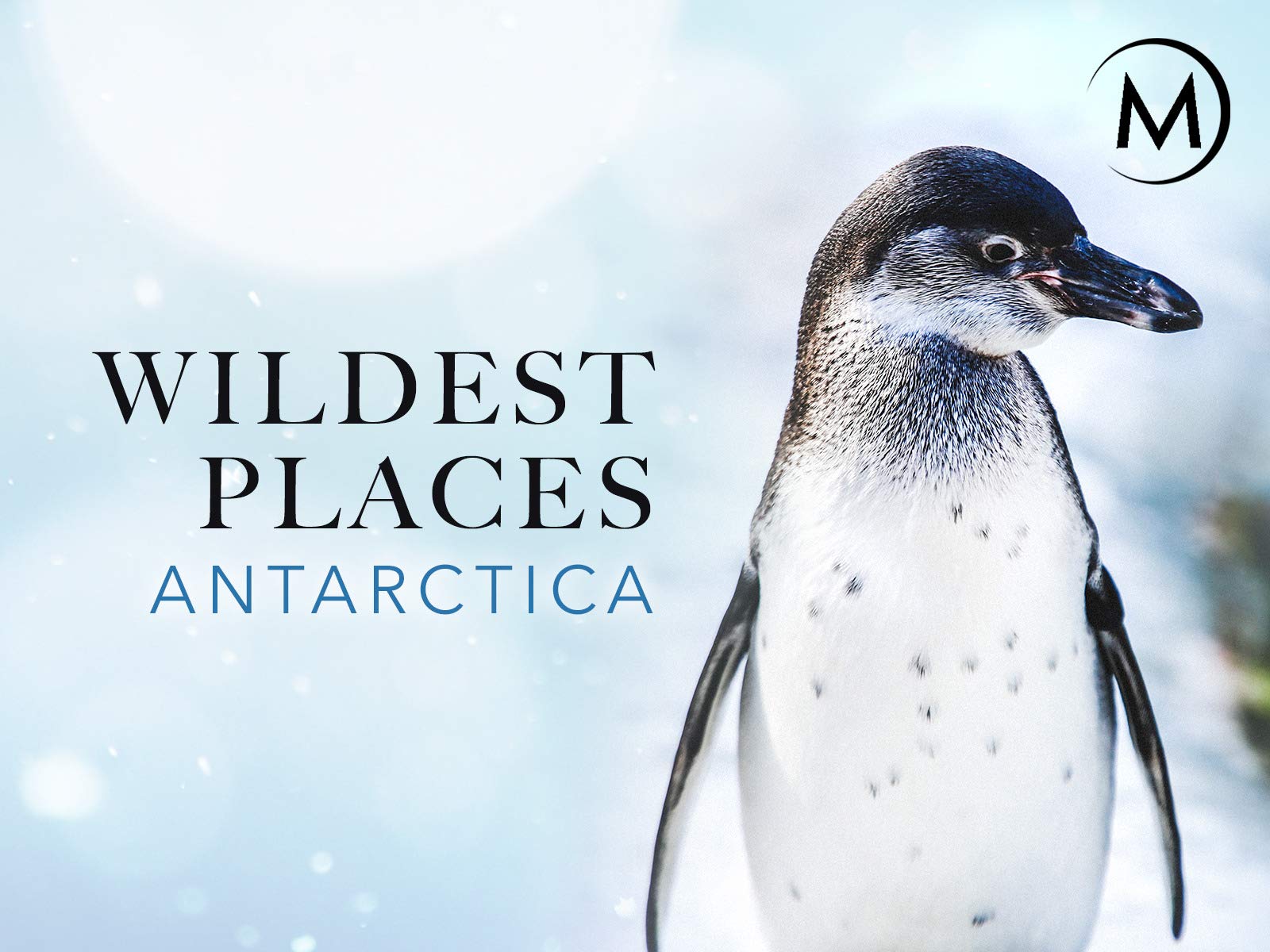 Wildest Places Antarctica